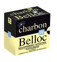 Charbon De Belloc 125 Mg Caps Molle B/60 à CHASSE SUR RHONE